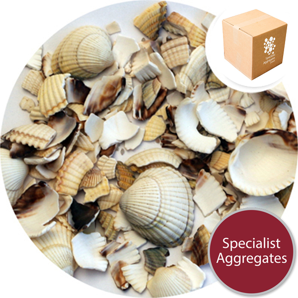 Barra Shell - Harling Repair